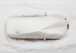 Фотогалерея: Белый Львов. Рекордный снегопад в середине марта