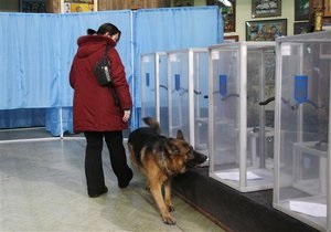 Экзит-полл R&В: В Запорожский горсовет проходит больше всего депутатов от ПР, в Винницкий – от Совести Украины