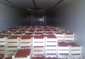 Украинский предприниматель незаконно вывез в Россию овощей и фруктов на 4,5 млн грн