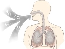 Угарный газ может лечить легочные заболевания