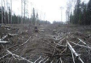 Медведев возложил на Лужкова ответственность за строительство трассы через Химкинский лес