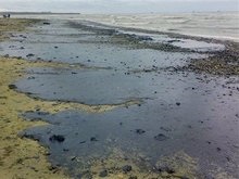 Ученые нашли способ локализации нефти на море