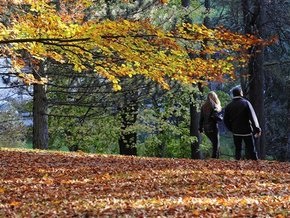 Завтра в Украине - до 18 градусов тепла