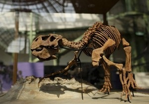 В Китае обнаружены останки неизвестного динозавра