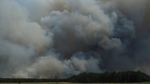 Площадь лесного пожара в Херсонской области достигла 700 га