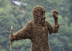 В Киеве активизировались осы, пчелы и шершни