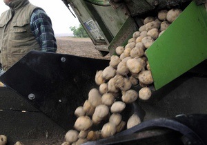Киевские власти закупят для города почти 150 тысяч тонн овощей и фруктов
