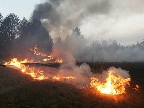 В Киевской области горело 100 га молодого леса