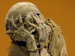 В Москве обнаружили мумию пенсионерки, умершей пять лет назад