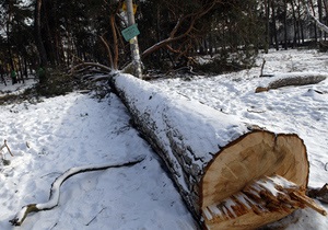 Прокуратура возбудила дело по факту вырубки деревьев в урочище Покал в Киеве