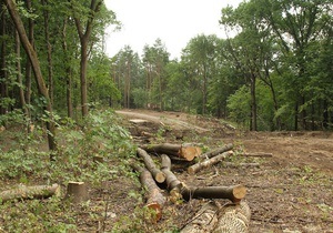 Общественность Харькова бьет тревогу из-за вырубки деревьев в парке Горького