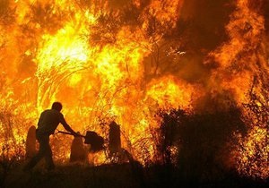Пожары - ГЧС - Спасатели - В результате пожара в Житомирской области погибло двое мужчин