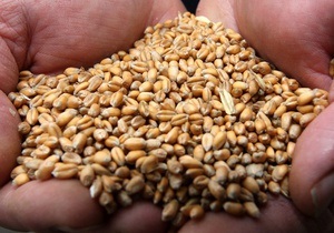 Министерство продовольствия опровегло намерения запретить экспорт пшеницы