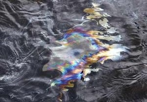 Из скважины в Мексиканском заливе уже вытекло 5 млн баррелей нефти