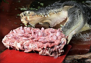 Новости Австралии: В Австралии крокодил-долгожитель получил на 110-летие торт из цыплят