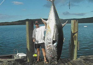 Новозеландец поймал на удочку тунца весом 335 килограммов