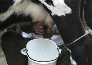 Кабмин будет выплачивать 5 тыс. грн за каждую корову производительностью более 4,3 тыс. л