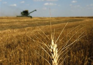 В Киеве признали, что Украина, РФ и Казахстан не могут создать зерновой пул