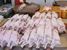 Производители мяса птицы снизили цены на свою продукцию на 10-15%