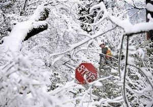 В Киеве около 150 деревьев повредили линии электропередач
