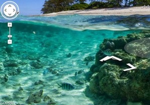 В карты Google добавили снимки коралловых рифов