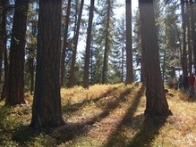 Погода на понедельник