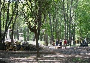 Кернес объяснил, зачем в парке Горького идет вырубка деревьев