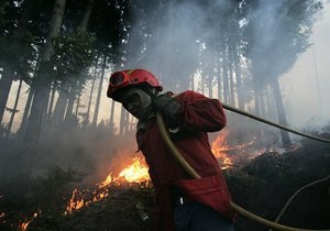 Лесные пожары начались в Португалии