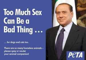 Берлускони стал лицом рекламной кампании за кастрацию котов