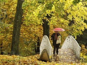 Киевские власти объявили 84 дерева памятниками природы