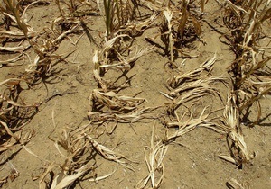 США переживают сильнейшую за полвека засуху