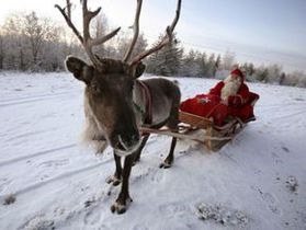 Организаторы визита Деда Мороза в Латвию заплатят штраф из-за русского языка