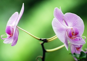 Прогноз погоды на субботу, 13 марта