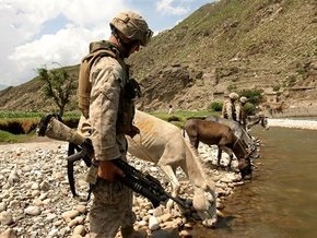 СМИ: Командующий НАТО в Афганистане ввел для американских военных сухой закон