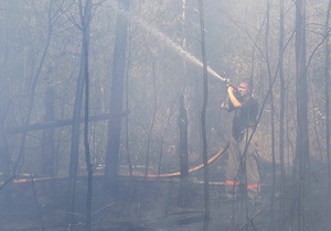 В Днепропетровской области выгорело 300 га леса, принадлежащего Минобороны