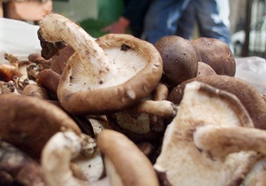 В Луганской области пять человек отравились грибами