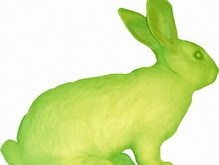 Китайская клонированная крольчиха родит зеленое потомство