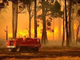 Спасательные службы Австралии борются с лесными пожарами: огонь уничтожил 20 домов