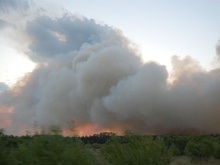 Убытки от пожара в Полтавской области составляют около 2 млн грн