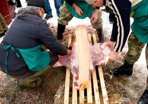 В Закарпатской области соревновались, кто лучше зарежет свинью