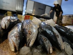 В Днепре возле Киева быстрыми темпами уменьшается количество рыбы