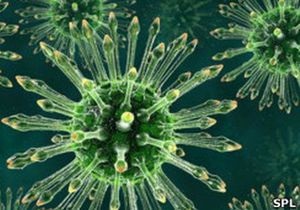 Ноовсти медицины - эпидемия ВИЧ/СПИД: Найден механизм образования антител против вируса ВИЧ