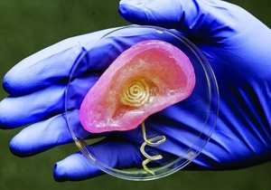 Новости науки - 3D-технологии: Американцы напечатали бионическое ухо