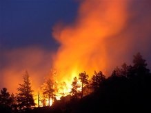 В Луганской области сгорело 250 га заповедника
