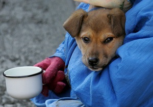 В 2010 году в Киеве появятся новые приюты для бездомных животных