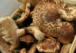 В Житомирской области пять человек отравились грибами