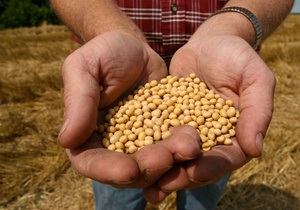 ООН предрекает резкий рост урожая зерна в Украине и России