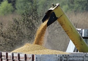 Стремясь обрести лидерство по экспорту зерна, Украина нацелилась на агрессивную политику на мировом рынке
