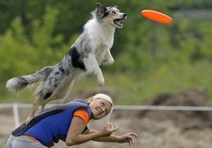 Фотогалерея: Собаки учатся летать. Чемпионат Венгрии по дог-фризби