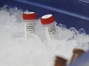 В Россию из США доставлены образцы свиного гриппа
